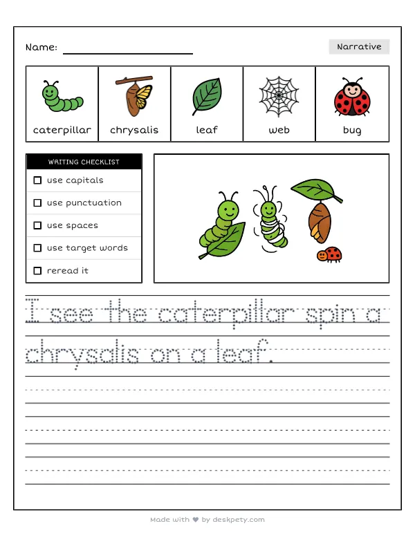 A hungry caterpillar spinning a chrysalis to become a butterfly — real worksheet preview with word bank and writing lines