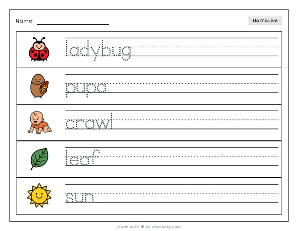 A ladybug crawling out of a shiny yellow pupa — real worksheet preview with word bank and writing lines